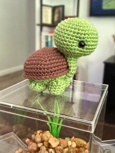 No Fuss No Mess Pet | Turtle