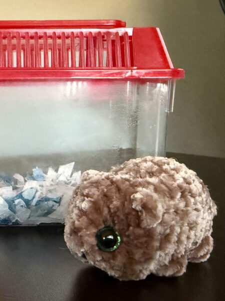 No Fuss No Mess Pet | Hamster